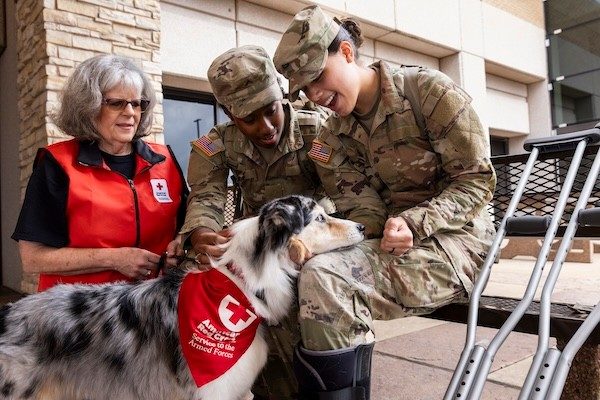 Therapy dog Hazel and owner Sheri Wetekam interact with two uniformed servicemembers.